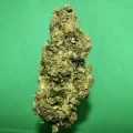 thumb of Lemon Auto by WeedSeedsExpress grown by PEAKYPLANTERS